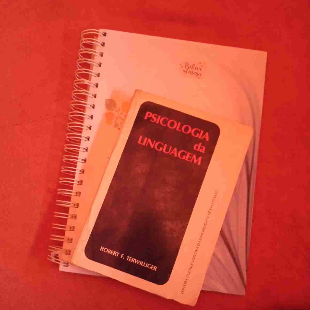 6 livros para quem deseja aprender um novo idioma em 2021